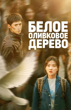 Дорама Белое оливковое дерево онлайн
