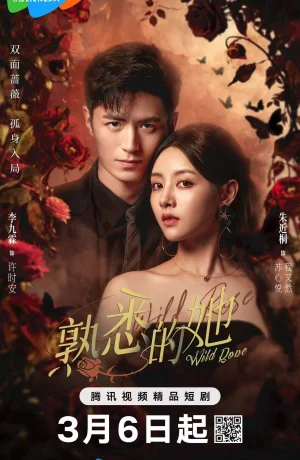 Дорама Дикая роза онлайн